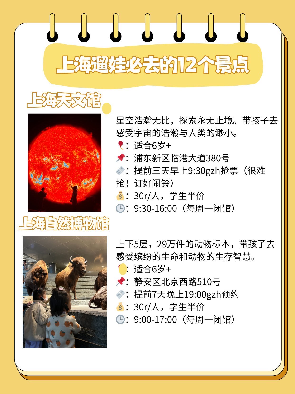 上海最新遛娃，城市脉搏中的自信与成就感之旅