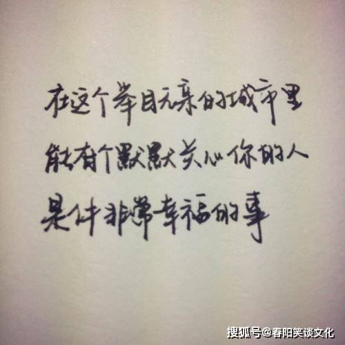 文字魅力深度探讨，精致句子的最新风采