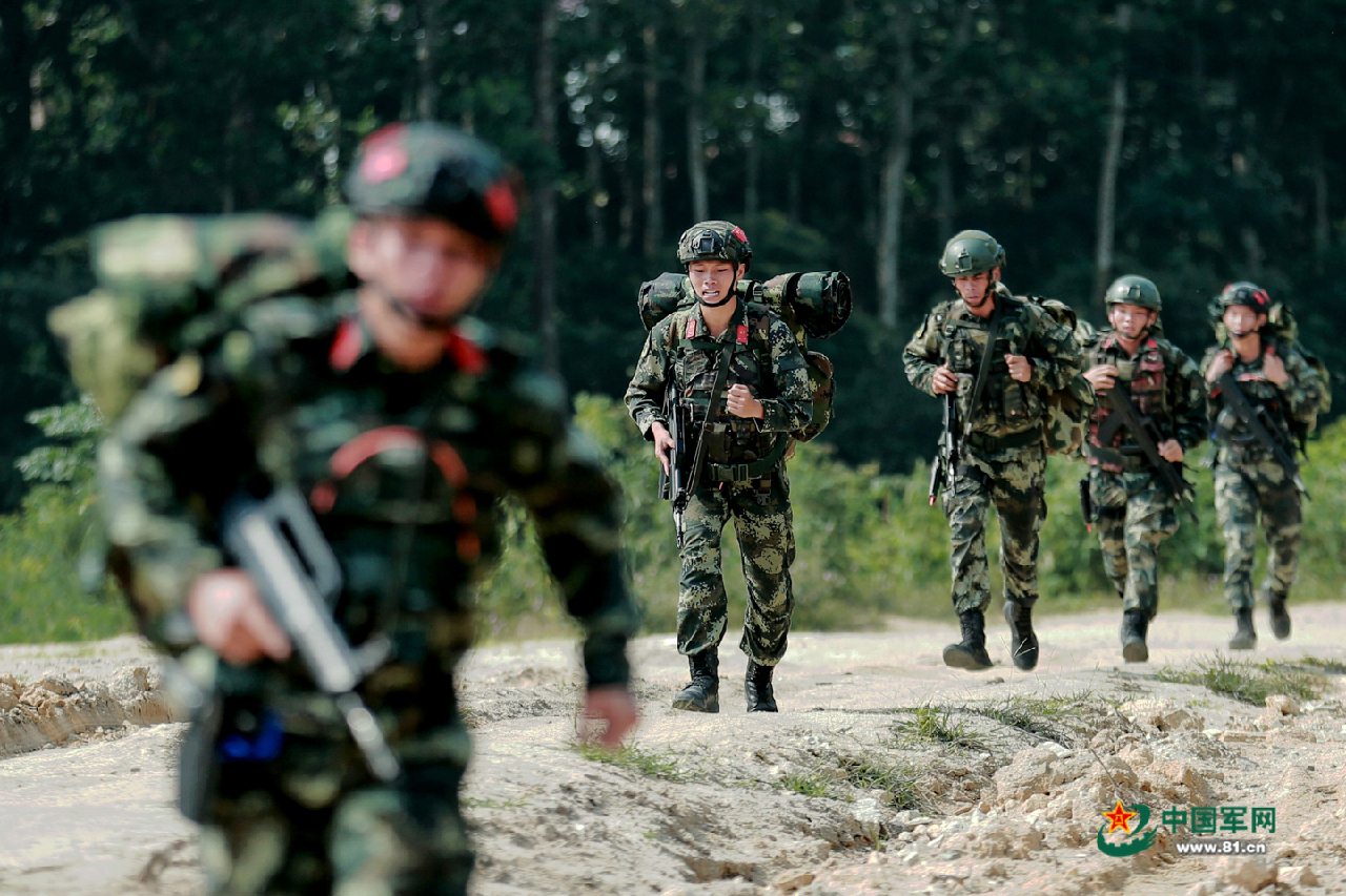 武警改革六月最新动态，深度解读与前瞻