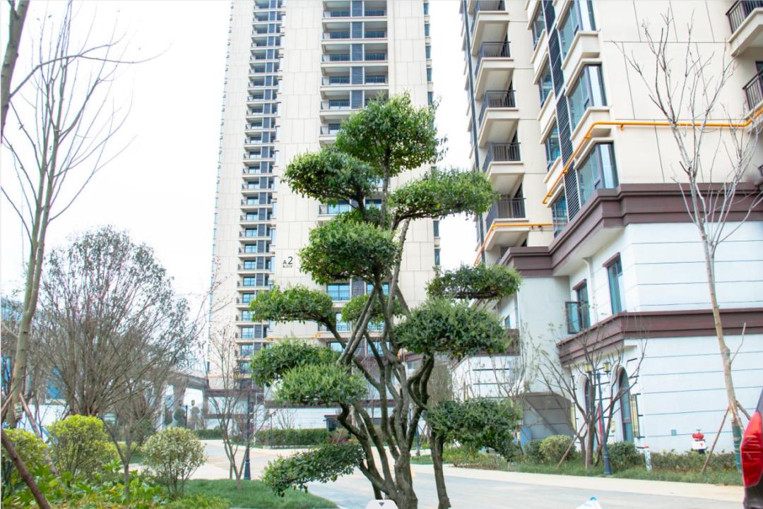 福州贵安地铁建设最新进展揭秘